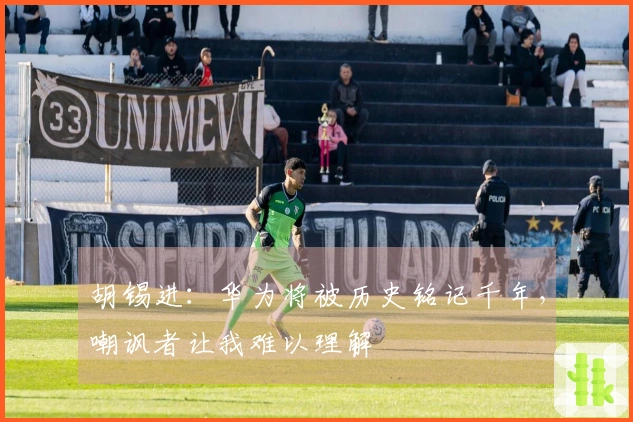 胡锡进:华为将被历史铭记千年,嘲讽者让我难以理解